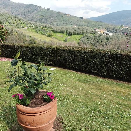 Villa Camelia Tuscany เปสเชีย ภายนอก รูปภาพ