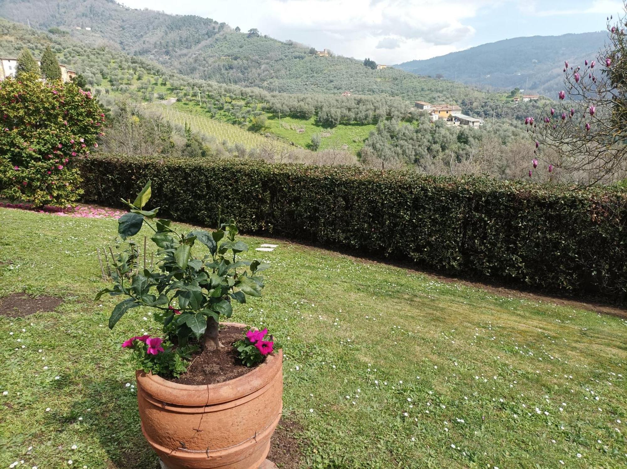 Villa Camelia Tuscany เปสเชีย ภายนอก รูปภาพ